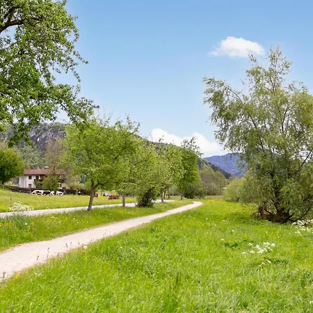 Schwemmblick Am Marschbachhof Walchsee