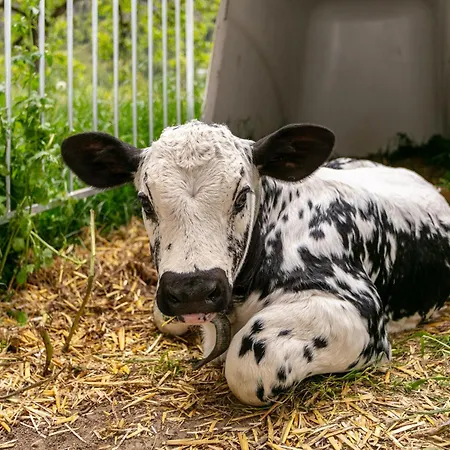 Marschbachhof Διαμέρισμα