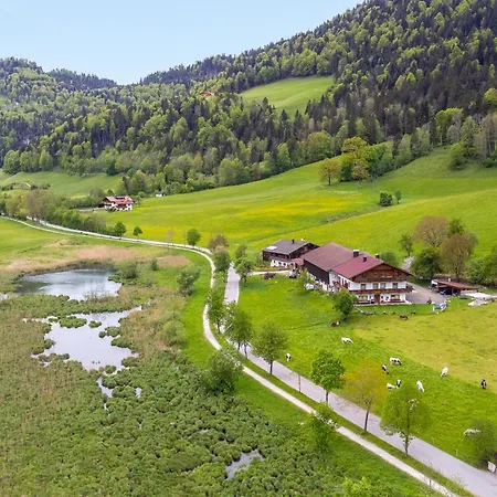 Schwemmblick Am Marschbachhof Walchsee